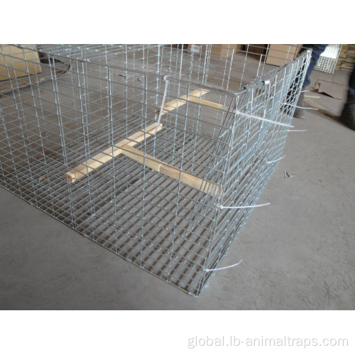 Live Animal Cage Trap rat mice trap cage humane live animal traps Manufactory